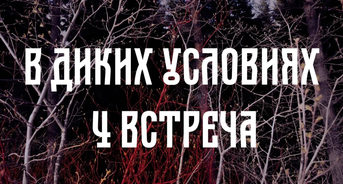 thumbnail.webp