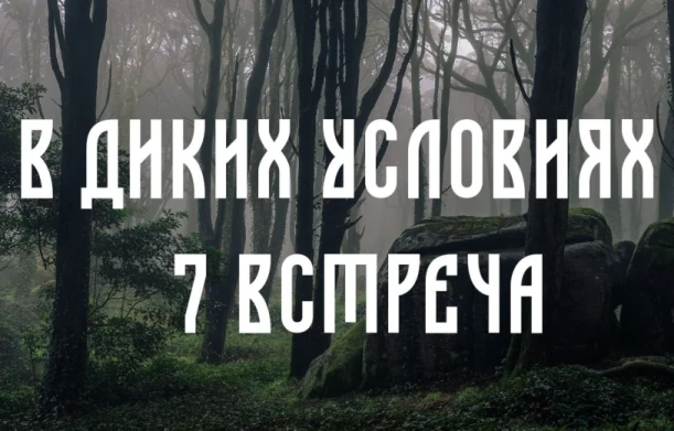 thumbnail.webp