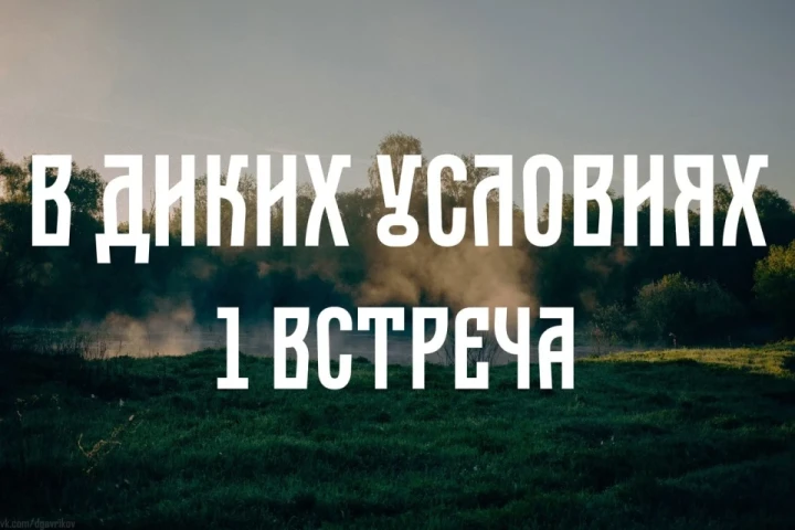 thumbnail.webp