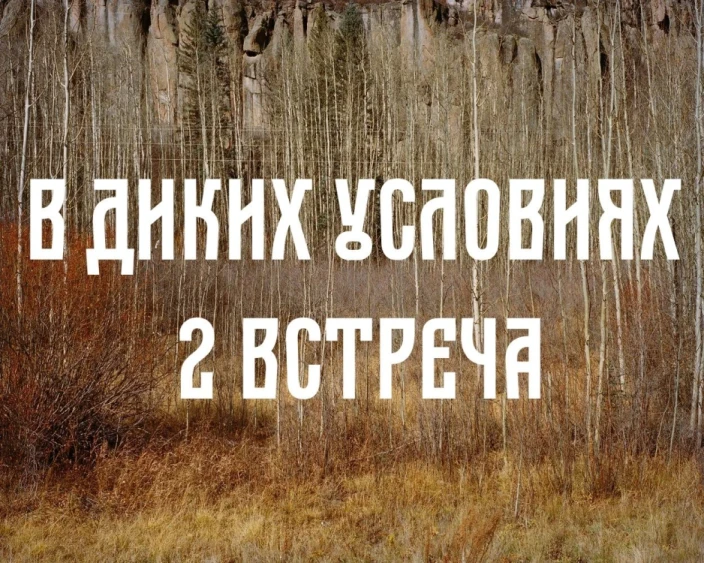 thumbnail.webp