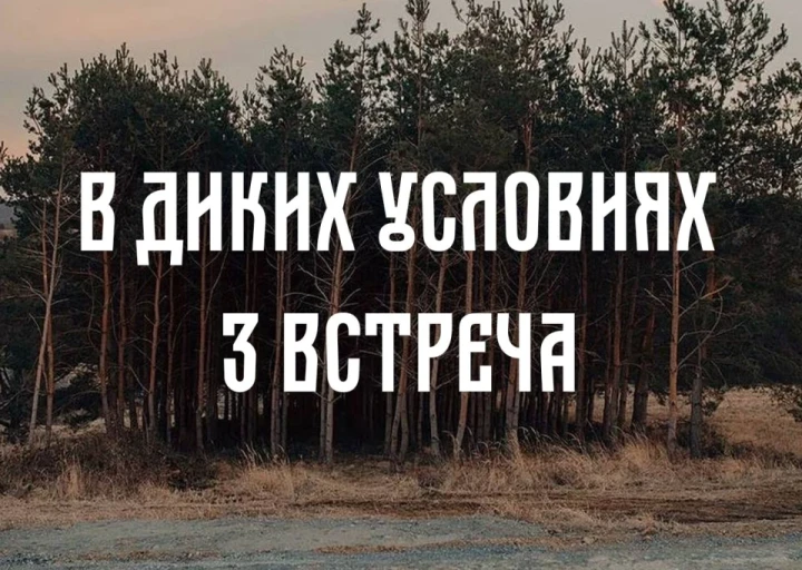 thumbnail.webp