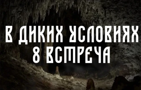 thumbnail.webp